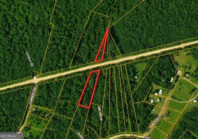 2nd image of 204 Acres Holmestown Loop Rd, Midway, GA 31320 | MLS# 10800023