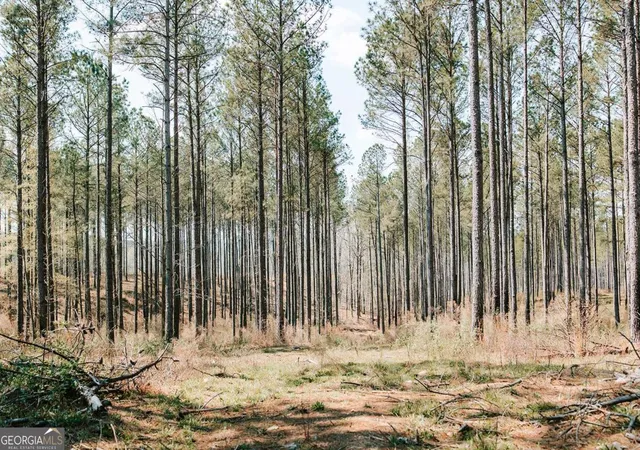Photo 1 of Land for sale at 0 Washington Rd, Lexington, GA 30648 | MLS# 10721696 | Listing updated on 2026-05-25