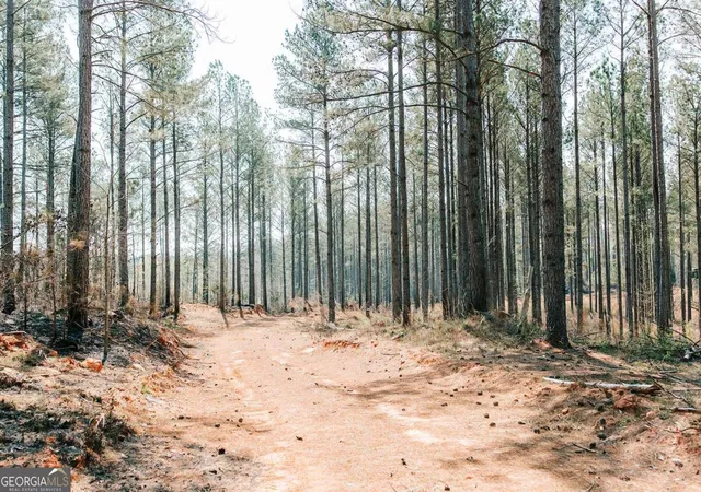 Photo 2 of Land for sale at 0 Washington Rd, Lexington, GA 30648 | MLS# 10721696 | Listing updated on 2026-05-25