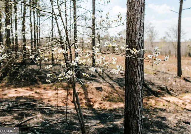 Photo 30 of Land for sale at 0 Washington Rd, Lexington, GA 30648 | MLS# 10721696 | Listing updated on 2026-05-25