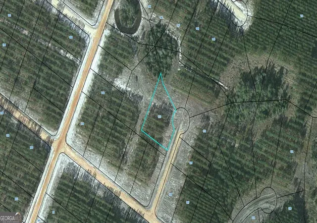 Photo 1 of Land for sale at Lot 133 Satilla Plantation, Waynesville, GA 31566 | MLS# 10829636 | Listing updated on 2026-09-03