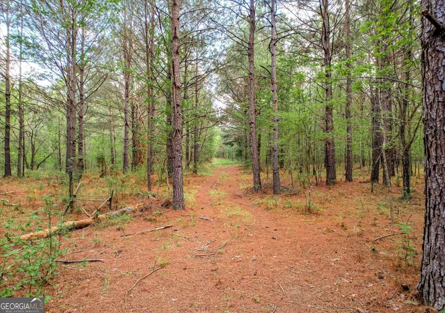 1st image of 6995 Cobbham Road, Appling, GA 30802 | MLS# 10726009
