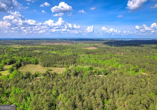 4th image of 6995 Cobbham Road, Appling, GA 30802 | MLS# 10726009