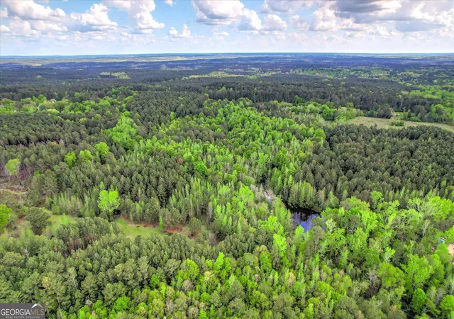 5th image of 6995 Cobbham Road, Appling, GA 30802 | MLS# 10726009