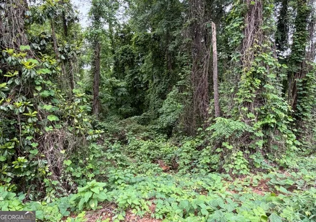 12th image of 0 Johnson Rd, Palmetto, GA 30268 | MLS# 10783008