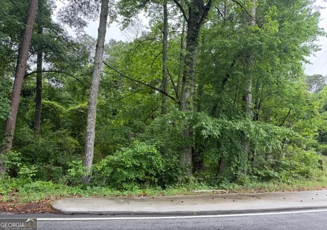 1st image of 0 Johnson Rd, Palmetto, GA 30268 | MLS# 10783008