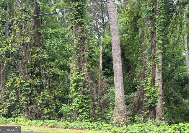 3rd image of 0 Johnson Rd, Palmetto, GA 30268 | MLS# 10783008
