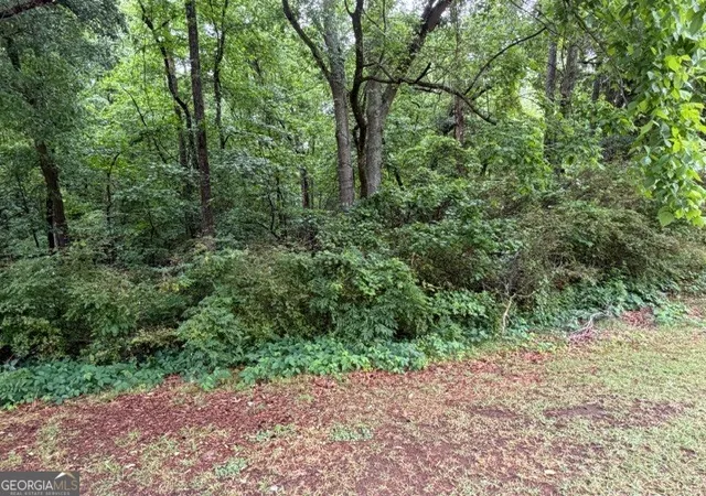4th image of 0 Johnson Rd, Palmetto, GA 30268 | MLS# 10783008