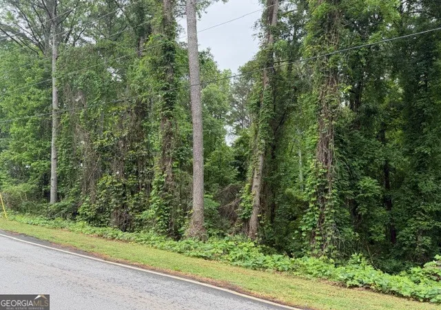 5th image of 0 Johnson Rd, Palmetto, GA 30268 | MLS# 10783008