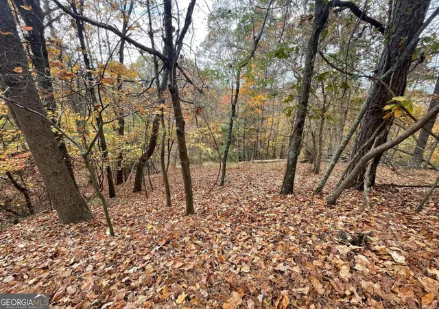 Photo 1 of Land for sale at Lot 468 Cherokee Ct, Ellijay, GA 30540 | MLS# 10418188 | Listing updated on 2026-05-23