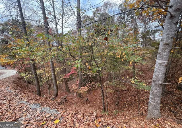 Photo 2 of Land for sale at Lot 468 Cherokee Ct, Ellijay, GA 30540 | MLS# 10418188 | Listing updated on 2026-05-23