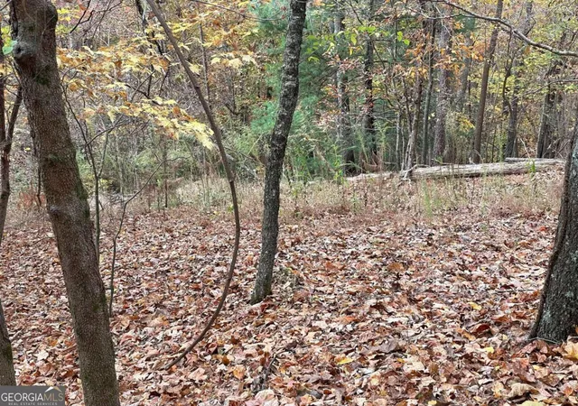 Photo 3 of Land for sale at Lot 468 Cherokee Ct, Ellijay, GA 30540 | MLS# 10418188 | Listing updated on 2026-05-23