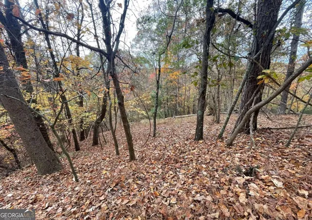 Photo 4 of Land for sale at Lot 468 Cherokee Ct, Ellijay, GA 30540 | MLS# 10418188 | Listing updated on 2026-05-23