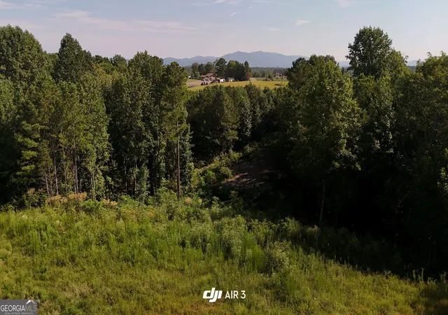 23rd image of 2027 Pleasant Valley Rd, Talking Rock, GA 30175 | MLS# 10807942