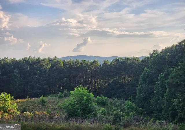 2nd image of 2027 Pleasant Valley Rd, Talking Rock, GA 30175 | MLS# 10807942