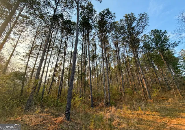3rd image of 105 +/- Acres On Mccosh Mill Rd, Lagrange, GA 30240 | MLS# 10773972
