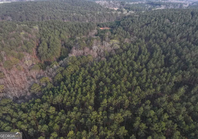4th image of 105 +/- Acres On Mccosh Mill Rd, Lagrange, GA 30240 | MLS# 10773972