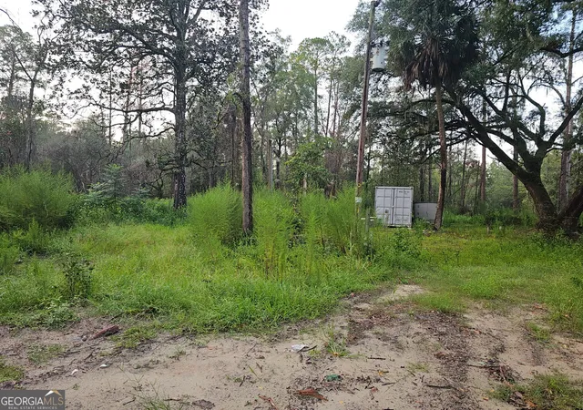 Photo 1 of Land for sale at 373 Carl Burney Rd, Hortense, GA 31543 | MLS# 10834708 | Listing updated on 2026-09-13