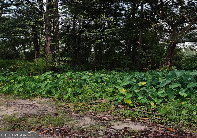 Photo 2 of Land for sale at 373 Carl Burney Rd, Hortense, GA 31543 | MLS# 10834708 | Listing updated on 2026-09-13