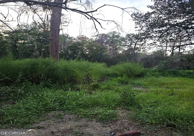 Photo 3 of Land for sale at 373 Carl Burney Rd, Hortense, GA 31543 | MLS# 10834708 | Listing updated on 2026-09-13