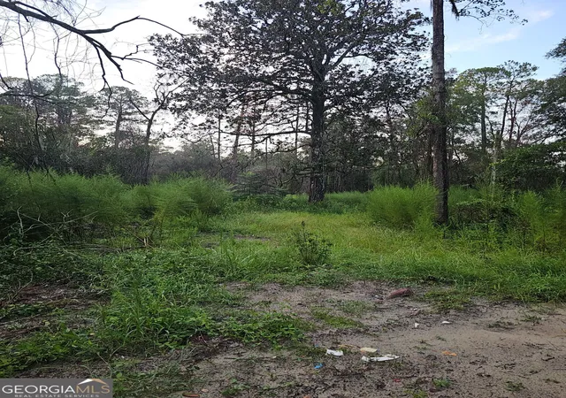 Photo 3 of Land for sale at 373 Carl Burney Rd, Hortense, GA 31543 | MLS# 10834708 | Listing updated on 2026-09-13