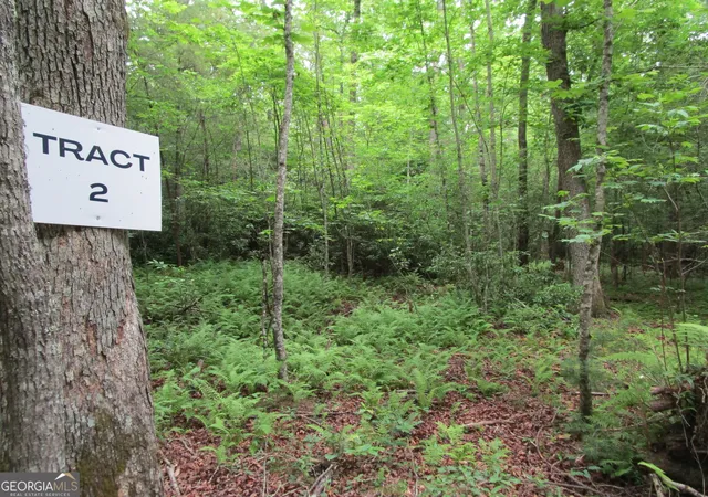 Photo 1 of Land for sale at Tract 2 E New Hope Rd #TRACT 2, Ellijay, GA 30536 | MLS# 10783089 | Listing updated on 2026-08-24
