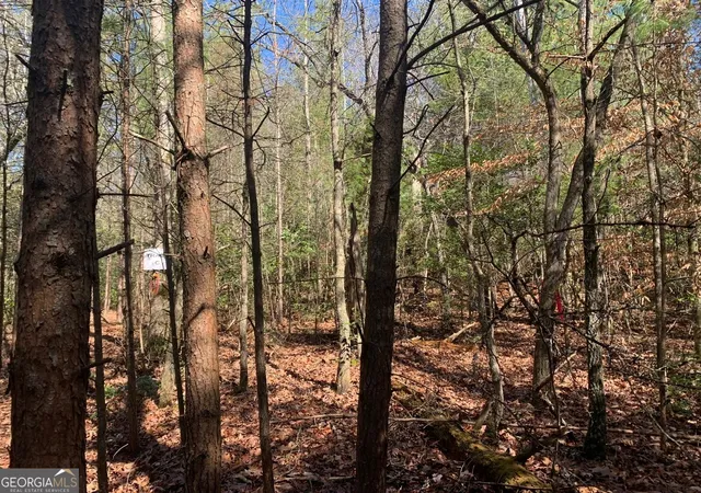 Photo 24 of Land for sale at Tract 2 E New Hope Rd #TRACT 2, Ellijay, GA 30536 | MLS# 10783089 | Listing updated on 2026-08-24