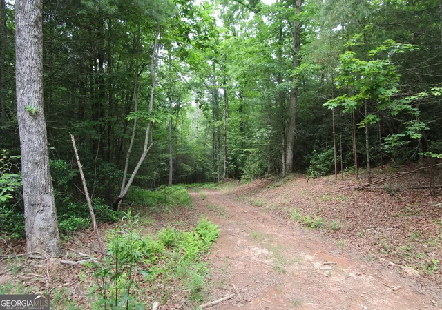 Photo 2 of Land for sale at Tract 2 E New Hope Rd #TRACT 2, Ellijay, GA 30536 | MLS# 10783089 | Listing updated on 2026-08-24