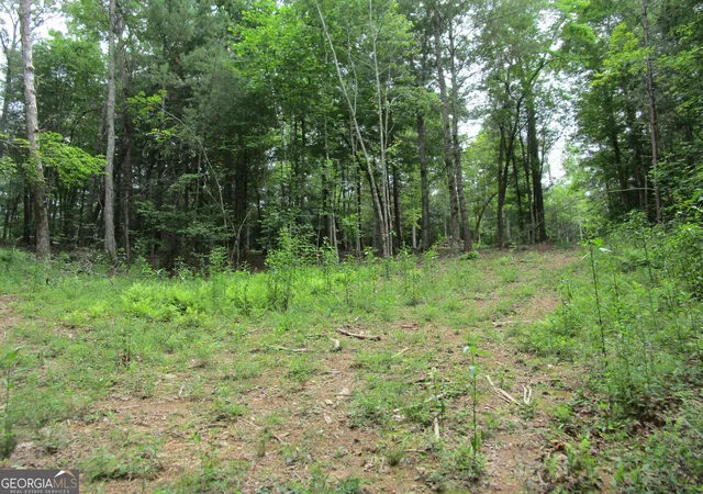 Photo 3 of Land for sale at Tract 2 E New Hope Rd #TRACT 2, Ellijay, GA 30536 | MLS# 10783089 | Listing updated on 2026-08-24