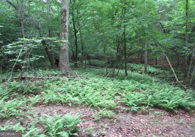 Photo 4 of Land for sale at Tract 2 E New Hope Rd #TRACT 2, Ellijay, GA 30536 | MLS# 10783089 | Listing updated on 2026-08-24