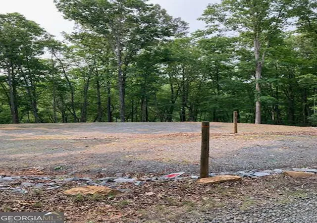 1st image of Tr 2 & 3 Settlement Rd, Young Harris, GA 30582 | MLS# 10786062