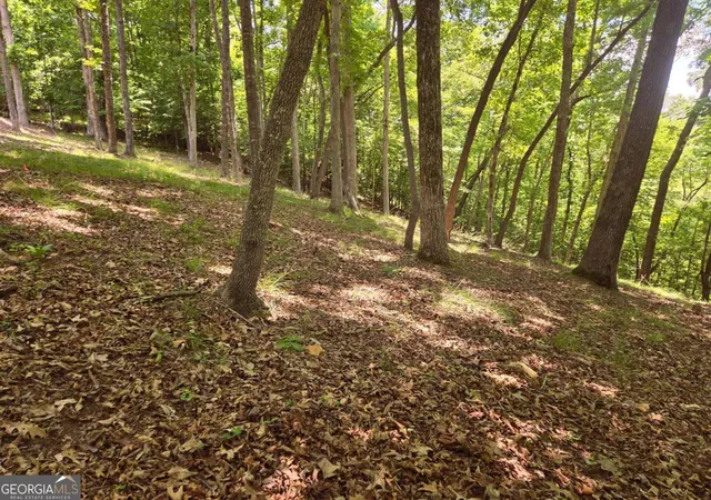 Photo 2 of Land for sale at Tr 2 & 3 Settlement Rd, Young Harris, GA 30582 | MLS# 10786062 | Listing updated on 2026-08-26