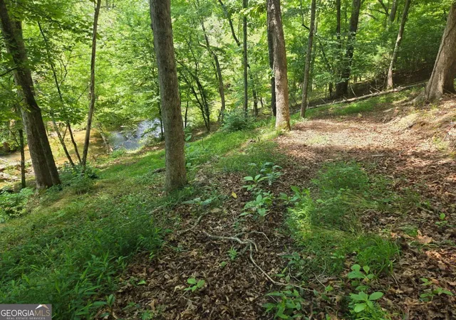 Photo 3 of Land for sale at Tr 2 & 3 Settlement Rd, Young Harris, GA 30582 | MLS# 10786062 | Listing updated on 2026-08-26