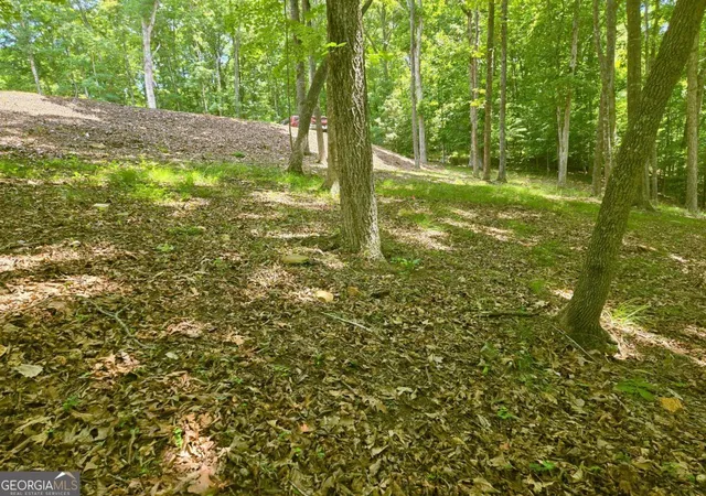 Photo 4 of Land for sale at Tr 2 & 3 Settlement Rd, Young Harris, GA 30582 | MLS# 10786062 | Listing updated on 2026-08-26