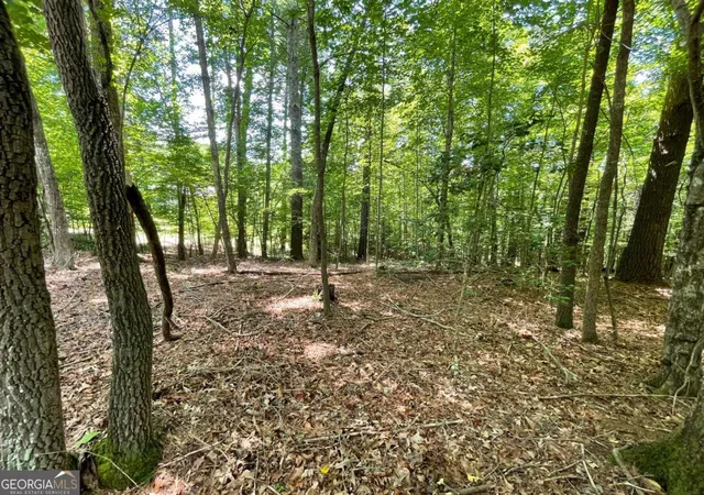 1st image of Lot 2 Mount Pleasant Ridge Rd #2, Blairsville, GA 30512 | MLS# 10805927