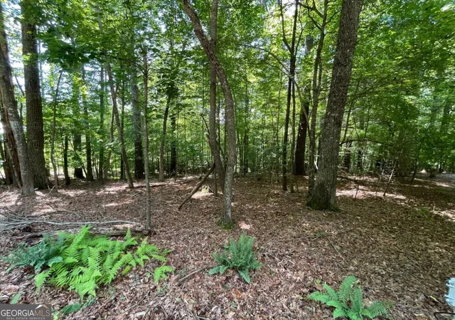 2nd image of Lot 2 Mount Pleasant Ridge Rd #2, Blairsville, GA 30512 | MLS# 10805927