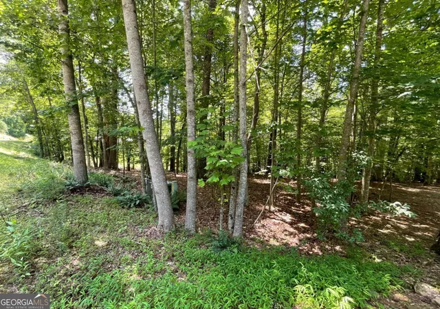 3rd image of Lot 2 Mount Pleasant Ridge Rd #2, Blairsville, GA 30512 | MLS# 10805927