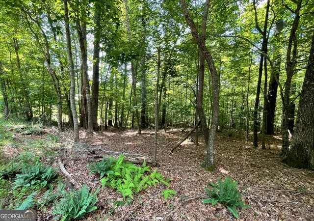 4th image of Lot 2 Mount Pleasant Ridge Rd #2, Blairsville, GA 30512 | MLS# 10805927