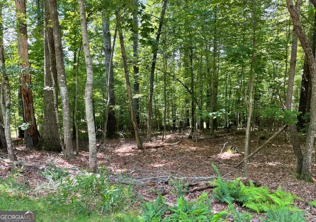 6th image of Lot 2 Mount Pleasant Ridge Rd #2, Blairsville, GA 30512 | MLS# 10805927