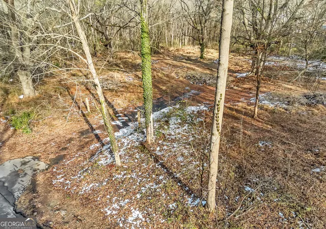 Photo 4 of Land for sale at 3648 Panthersville Rd, Decatur, GA 30034 | MLS# 10439293 | Listing updated on 2026-01-13