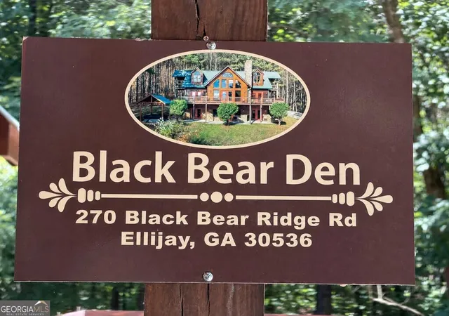 100th image of 270 Black Bear Ridge Rd, Ellijay, GA 30536 | MLS# 10831276