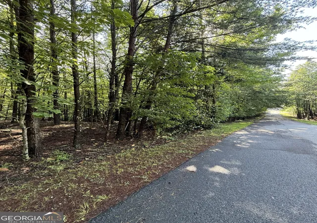 Photo 3 of Land for sale at Lot 5 Marci Ln, Sautee Nacoochee, GA 30571 | MLS# 10555886 | Listing updated on 2026-08-20