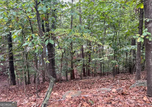 Photo 4 of Land for sale at 0 Spyglass Blf Dr, Johns Creek, GA 30022 | MLS# 10628282 | Listing updated on 2026-07-10
