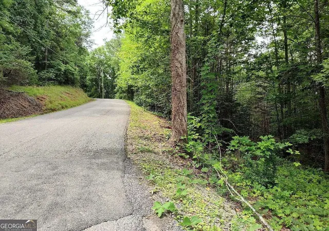 Photo 1 of Land for sale at 330 Adair Dr, Ranger, GA 30734 | MLS# 10787726 | Listing updated on 2026-06-18