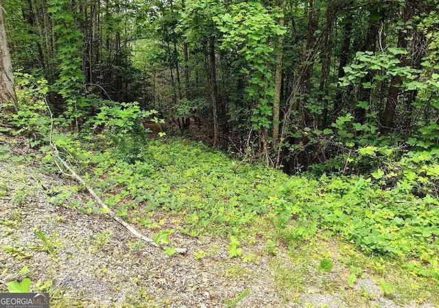 Photo 2 of Land for sale at 330 Adair Dr, Ranger, GA 30734 | MLS# 10787726 | Listing updated on 2026-06-18
