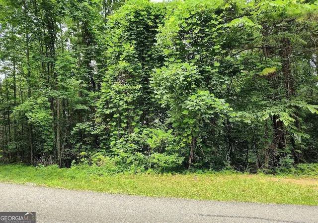 Photo 3 of Land for sale at 330 Adair Dr, Ranger, GA 30734 | MLS# 10787726 | Listing updated on 2026-06-18