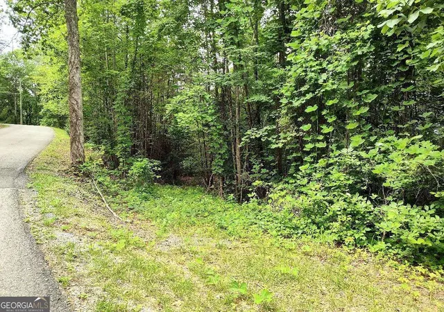 Photo 3 of Land for sale at 330 Adair Dr, Ranger, GA 30734 | MLS# 10787726 | Listing updated on 2026-06-18