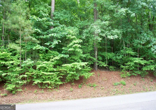 Photo 3 of Land for sale at 1390 Northwoods Dr, Greensboro, GA 30642 | MLS# 10772495 | Listing updated on 2026-08-01