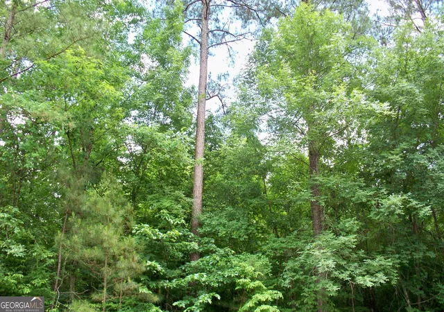 Photo 3 of Land for sale at 1390 Northwoods Dr, Greensboro, GA 30642 | MLS# 10772495 | Listing updated on 2026-08-01