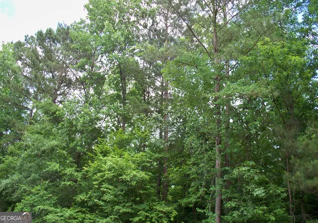 Photo 4 of Land for sale at 1390 Northwoods Dr, Greensboro, GA 30642 | MLS# 10772495 | Listing updated on 2026-08-01